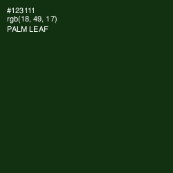 #123111 - Palm Leaf Color Image